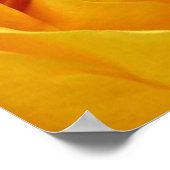 Big Yellow Rose Poster (Hoek)