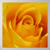 Big Yellow Rose Poster (Voorkant)
