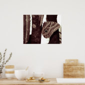 bigbutterflyeye poster (Keuken)