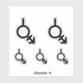 Bigender Androgyn en Neutrois-gendersymbool Sticker (Vel)