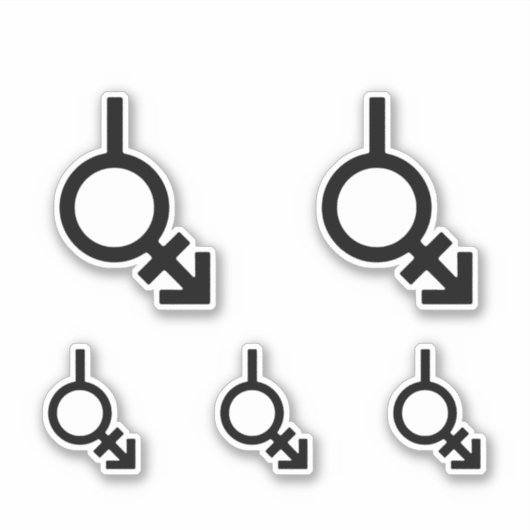 Bigender Androgyn en Neutrois-gendersymbool Sticker (Voorkant)