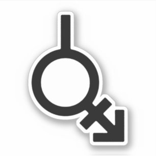 Bigender Androgyn en Neutrois-gendersymbool Sticker