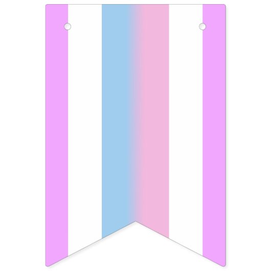 Bigender Pride Flag Vlaggetjes (Tweede vlag)