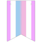 Bigender Pride Flag Vlaggetjes (Eerste vlag)