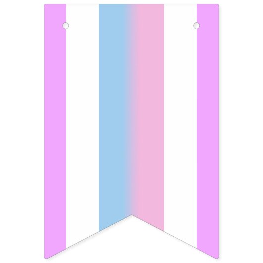 Bigender Pride Flag Vlaggetjes (Eerste vlag)