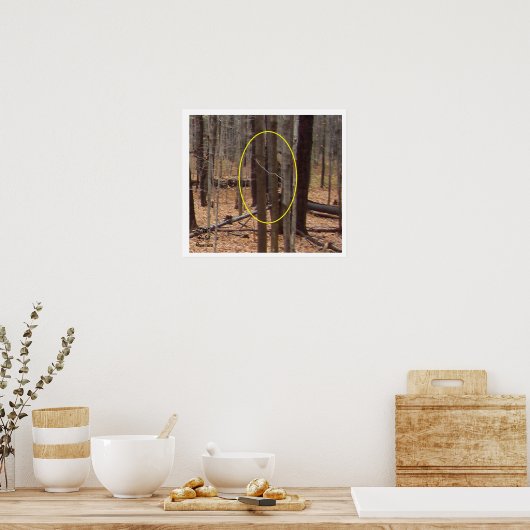 Bigfoot Behind Trees Poster (Keuken)