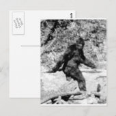 Bigfoot Briefkaart (Voorkant / Achterkant)