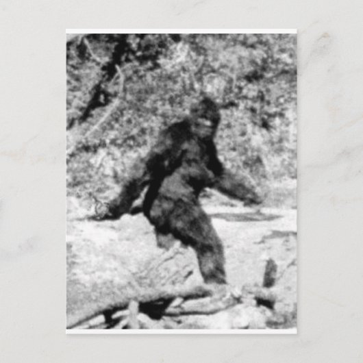 Bigfoot Briefkaart (Voorkant)