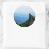 Bigfoot Decal of Sticker Sheets (Tas)