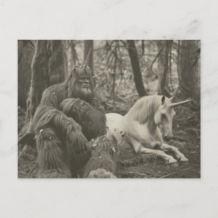 Bigfoot en een Unicorn Fotografie Briefkaart