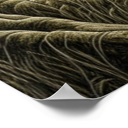  Bigfoot en RV Camper Poster (Hoek)