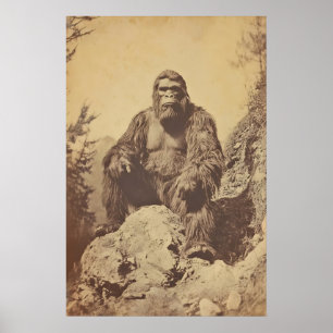 Bigfoot Fotografie Print Vintage Sasquatch Kunst