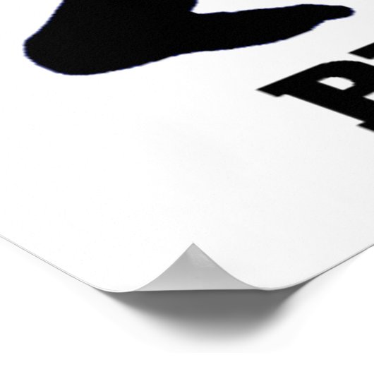 Bigfoot GELOOFT Poster! Sasquatch Poster (Hoek)