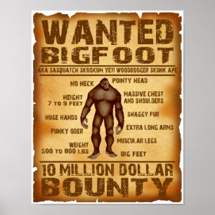 Bigfoot Gezocht Poster 10 miljoen Dollar Bounty
