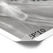 Bigfoot in Shades Poster (Hoek)