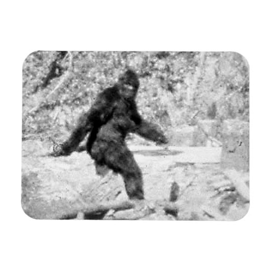 Bigfoot Magneet (Horizontaal)