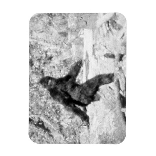 Bigfoot Magneet (Verticaal)