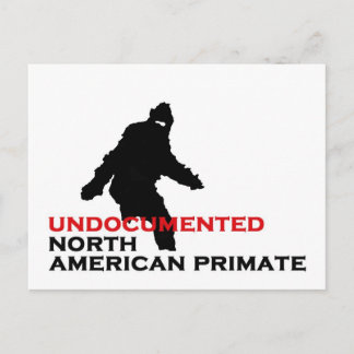 BIGFOOT: ONGEDOCUMENTEERDE NOORD-AMERIKAANSE PRIMA BRIEFKAART