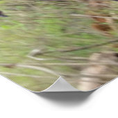 Bigfoot Poster (Hoek)