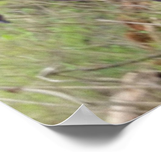 Bigfoot Poster (Hoek)