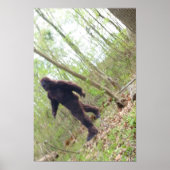 Bigfoot Poster (Voorkant)