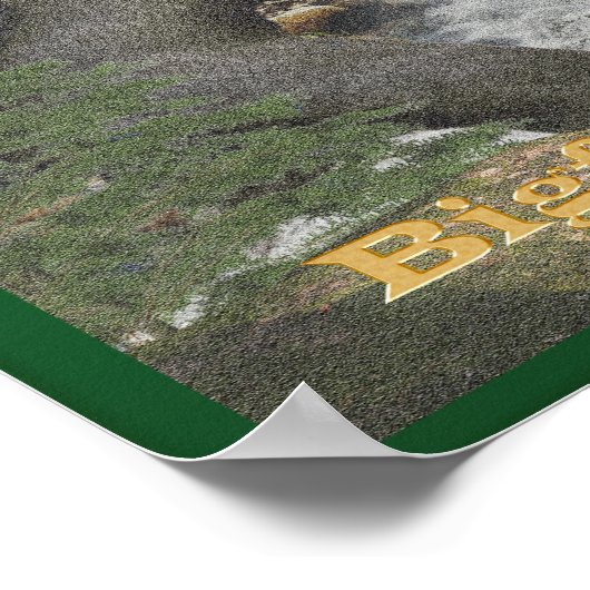 Bigfoot Poster (Hoek)