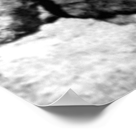 Bigfoot Poster (Hoek)