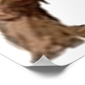 BIGFOOT POSTER (Hoek)