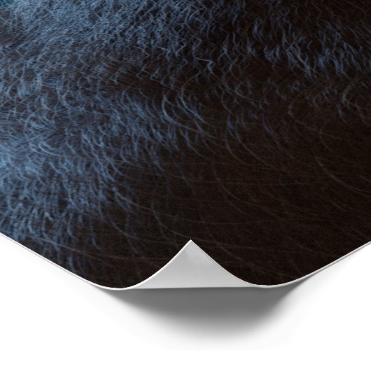 BIGFOOT SASQUATCH FACE PORTRATRATRAT III POSTER (Hoek)