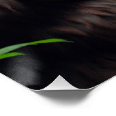 Bigfoot Sasquatch Feeding Dragon Perfect Poster (Hoek)