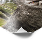 BIGFOOT SASQUATCH PORTRAIT Fotouitbreiding Foto Afdruk (Hoek)