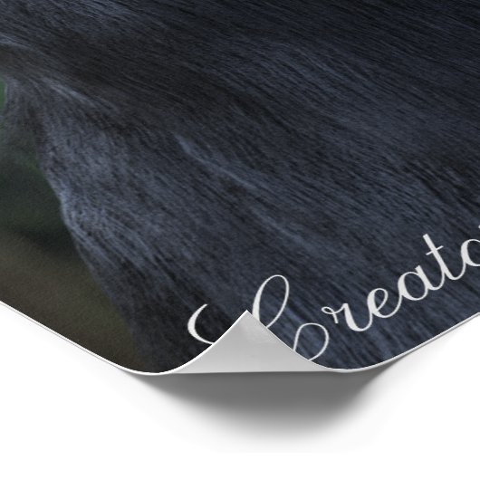 BIGFOOT SASQUATCH PORTRAT POSTER (Hoek)