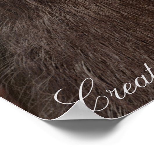 BIGFOOT SASQUATCH PORTRAT POSTER (Hoek)