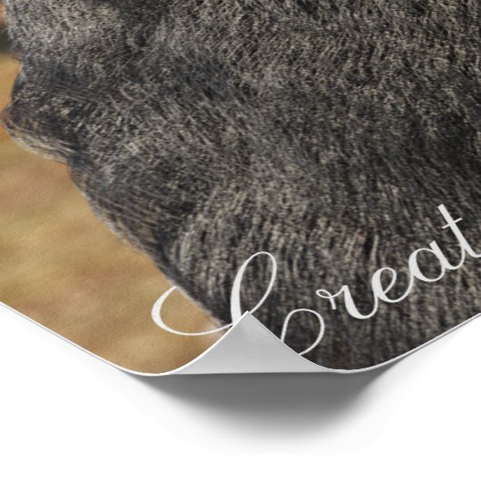 BIGFOOT SASQUATCH PORTRAT POSTER (Hoek)