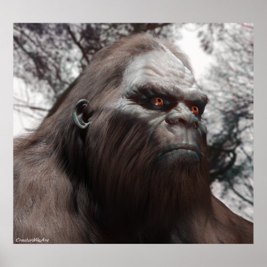 BIGFOOT SASQUATCH PORTRAT POSTER (Voorkant)