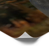 BIGFOOT SASQUATCH PORTRAT POSTER (Hoek)