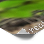 BIGFOOT SASQUATCH PORTRAT POSTER (Hoek)