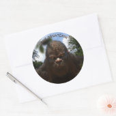 BIGFOOT SASQUATCH PORTRAT RONDE STICKER (Envelop)