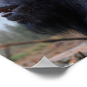 bigfoot sasquatch poster (Hoek)