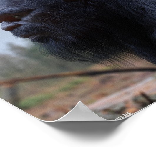 bigfoot sasquatch poster (Hoek)