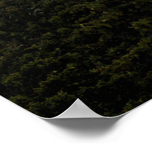 Bigfoot-teller - Herstelbaar Poster (Hoek)