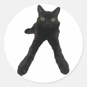bigfootjinx kat ronde sticker
