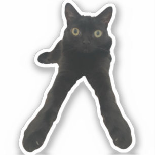 bigfootjinx kat sticker