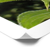 Bigger Sun Flower Poster (Hoek)