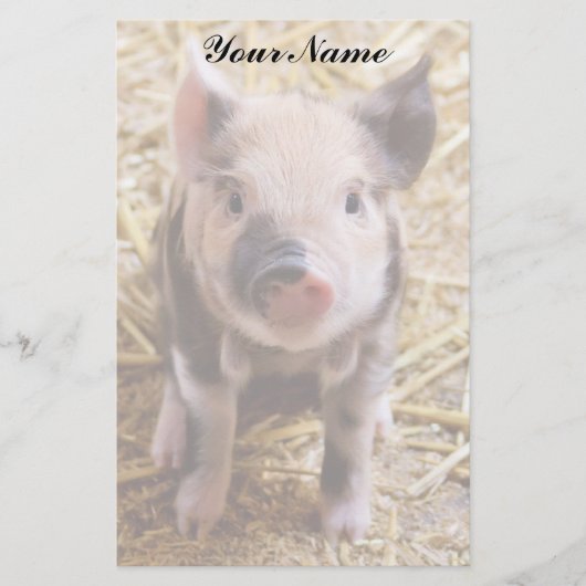 biggetje briefpapier (Voorkant)