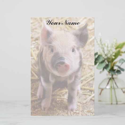 biggetje briefpapier (Staand voorkant)