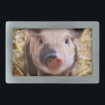 biggetje gesp<br><div class="desc">voeg tekst toe of upload je eigen afbeelding</div>