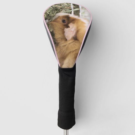 Biggetje Golfheadcover (Voorkant)