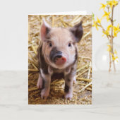 biggetje kaart (Gele Bloem)