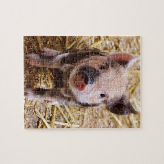 biggetje legpuzzel (Horizontaal)